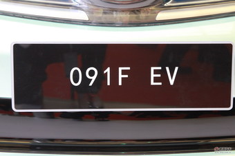 091F EV