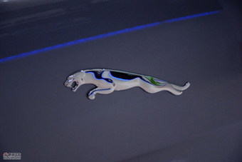 2011款捷豹XJL旗舰尊荣版