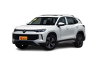 探岳L PHEV